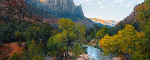 pexels-michael-block-3225517